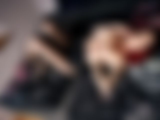 Fotoshooting Bilder! Hochauflösend  Hier nochmal ein kleiner Einblick aus einem Fotoshooting. Oben ohne, pralle Tittchen! Nur für Dich!